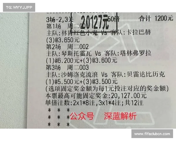 帕尔梅拉斯球迷抗议票价上涨 俱乐部承诺实行分层定价政策 帕尔梅拉斯球迷抗议票价上涨 俱乐部承诺实行分层定价政策